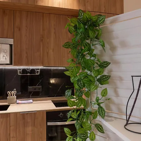 Vlc Host - Zapadores Apartment Valencia